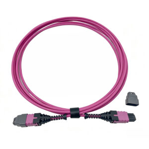12c Om4 Mtp Pro Patch Cord