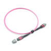 12f Mtp Mtp Om4 Jumper Cable