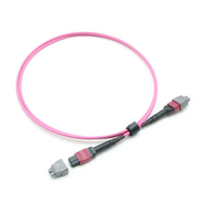 12f Mtp Mtp Om4 Jumper Cable