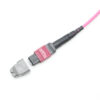 12f Mtp Om4 Jumper Cable