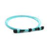 12f Om3 Polarity Switchable Mpo Jumper