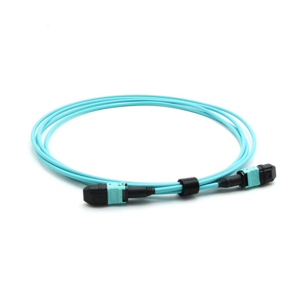 12f Om3 Polarity Switchable Mpo Jumper