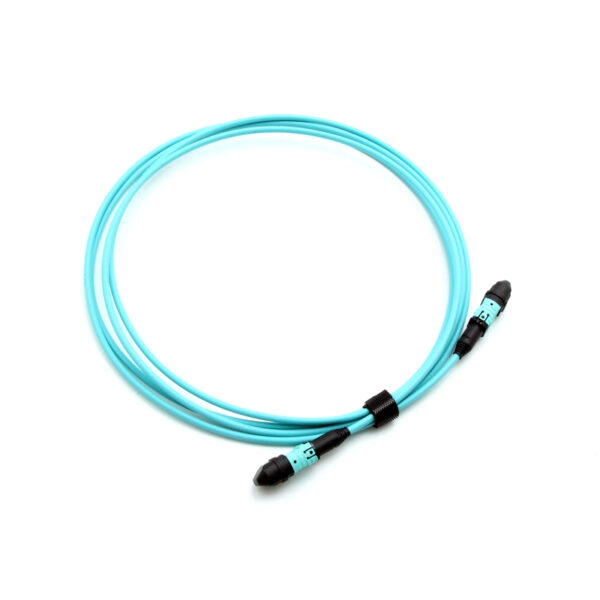 12f Om3 Polarity Switchable Mpo Mpo Jumper Cable.