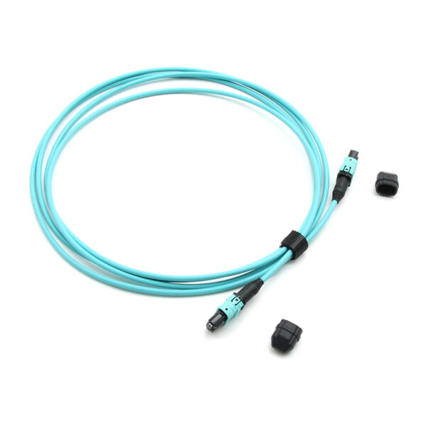 12f Om3 Polarity Switchable Mpo Patch Cable.