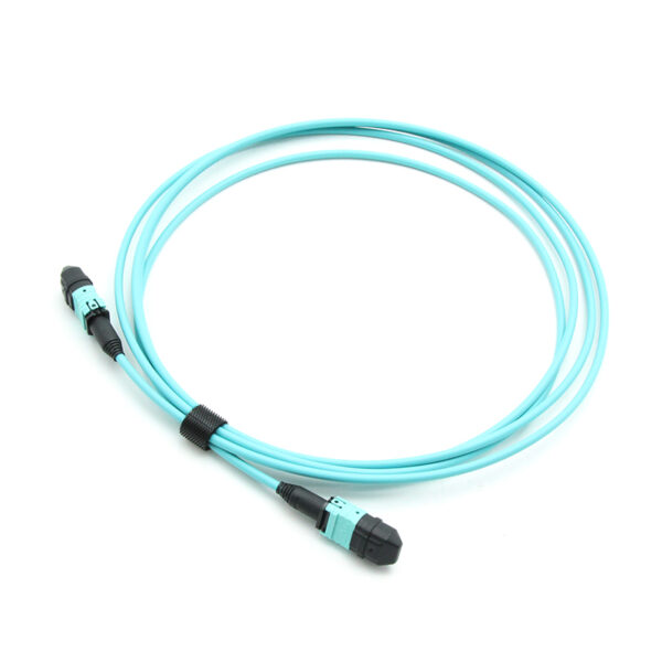 12f Om3 Polarity Switchable Mpo Patch Cord