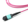 12f Om4 Mpo Jumper