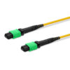 16f Mtp Fiber Optic Patch Cord