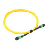 16f Sm Mpo Jumper Cable