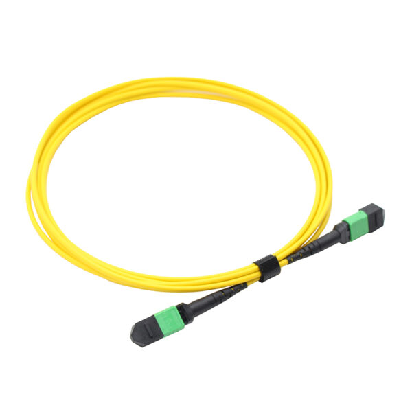 16f Sm Mpo Jumper Cable