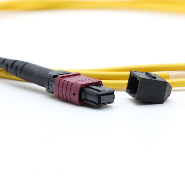 16f Sm Mpo Patch Lead