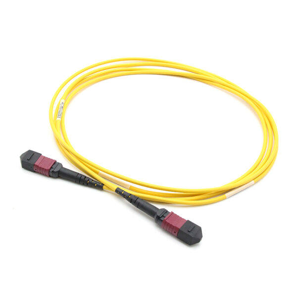 16f Sm Mpo Patch Cable