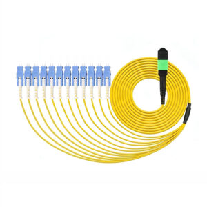 24c Mpo Apc(f) 12xsn