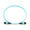 24f Om3 Senko Mpo Short Boot Jumper Cable