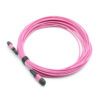 24f Om4 Mpo Jumper Cable