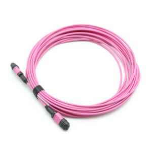 24f Om4 Mpo Jumper Cable