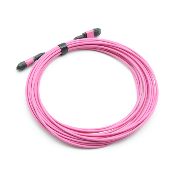 24f Om4 Mpo Patch Cord