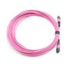 24f Om4 Mpo Trunk Cable