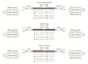 24f Polarity 2
