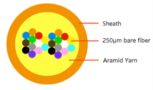 24f Structure Diagram