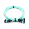 48f Mpo Mpo Om3 Trunk Cable Senko