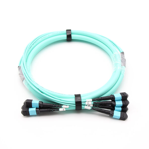 48f Mpo Mpo Om3 Trunk Cable Senko
