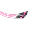 48f Mpo Mpo Om4 Trunk Cable