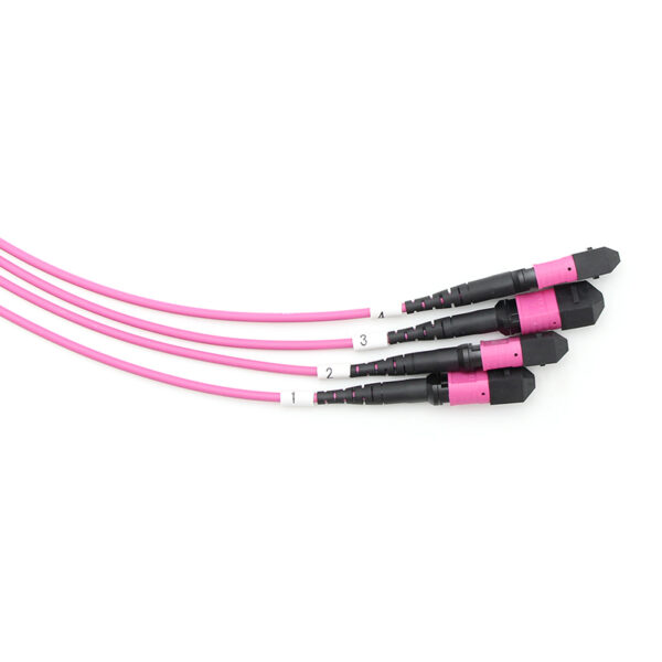 48f Mpo Mpo Om4 Trunk Cable