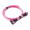 48f Mpo Om4 Trunk Cable