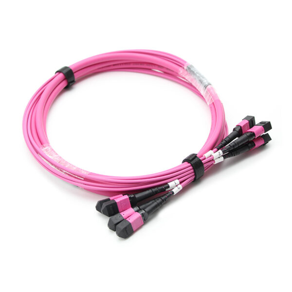48f Mpo Om4 Trunk Cable