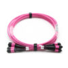 48f Om4 Mpo Om4 Trunk Cable