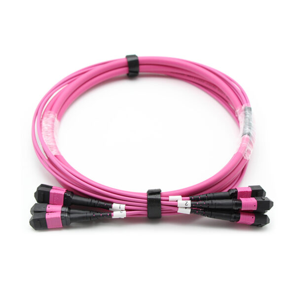 48f Om4 Mpo Om4 Trunk Cable