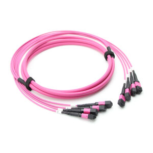 48f（4x12f） Mpo Mpo Om4 Trunk Cable