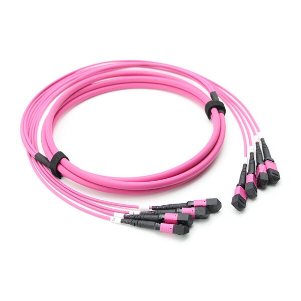 48f（4x12f） Mpo Mpo Om4 Trunk Cable