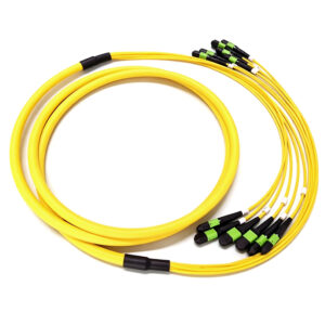 72f（6x12f） Mpo Mpo Sm Trunk Cable