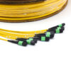 8f Mpo Apc