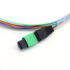 8f Mtp® (male) Lc