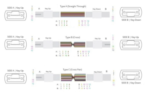 8f Polarity