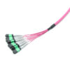 96f(8x12) Sm Mtp® Trunk Cable
