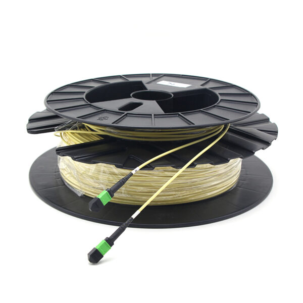 China 24f Sm Mpo Path Cord
