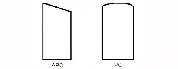Fiber Endface Type