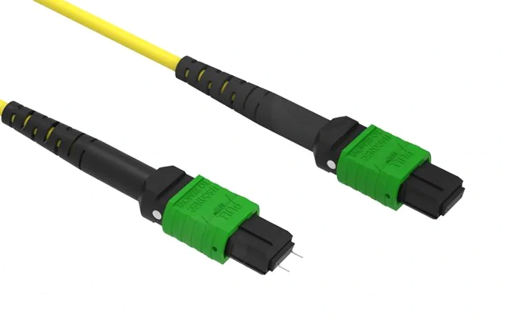 Mtpmpo Patch Cord