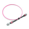 Om4 12f Mtp® Jumper Cable