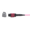 Om4 12f Mtp® Mtp® Jumper Cable