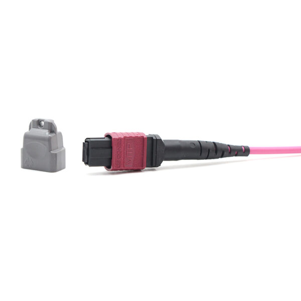 Om4 12f Mtp® Mtp® Jumper Cable