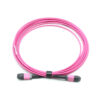 Om4 8f Mpo Jumper Cable