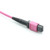 Om4 Mpo Patch Cord