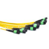Sm 72f(9x8) Mpo Mpo Trunk Cable