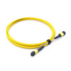Sm 8f Mpo Patch Cord
