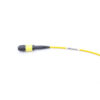 Sm 8f Mpo Trunk Cable