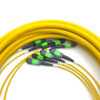 Sm 9125um 48f(4x12) Mpo Mpo Trunk Cable